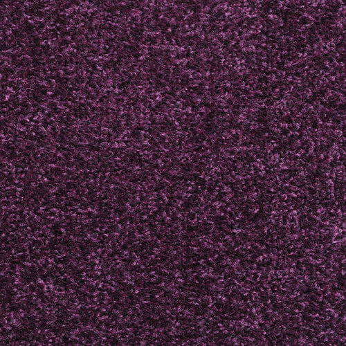 Purple 879 Dublin Heathers Carpet