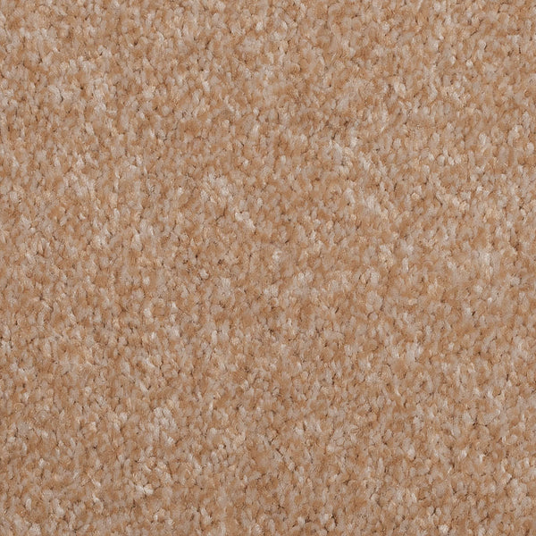 Almond White Noble Saxony Carpet