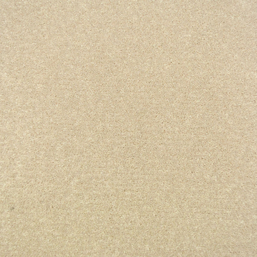 Linen Stainfree Royale Carpet