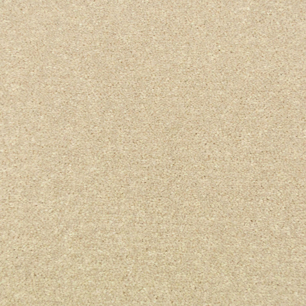 Linen Stainfree Royale Carpet