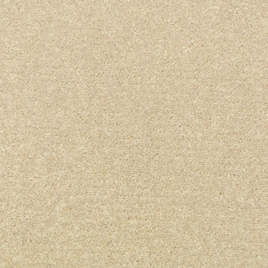 Linen Stainfree Royale Carpet