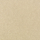 Linen Stainfree Royale Carpet
