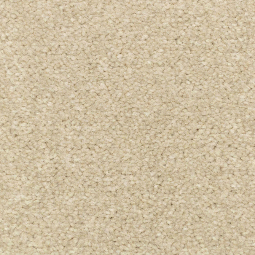 Linen Stainfree Royale Carpet