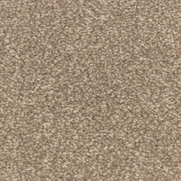 Cotton Stainfree Royale Carpet