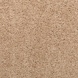 Oyster Mystique Carpet