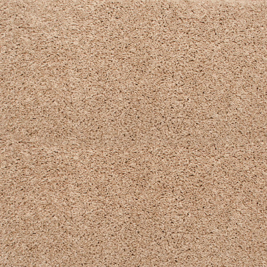 Oyster Mystique Carpet