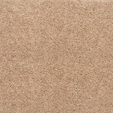 Oyster Mystique Carpet