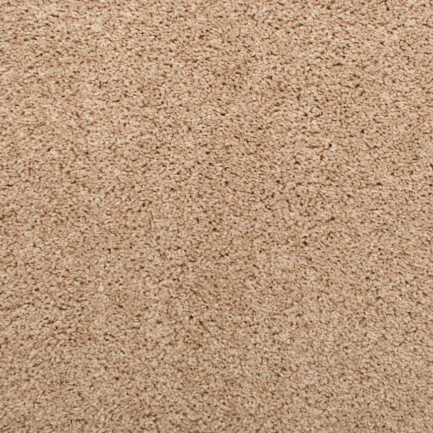 Oyster Mystique Carpet