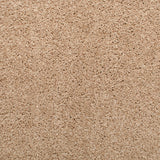 Oyster Mystique Carpet