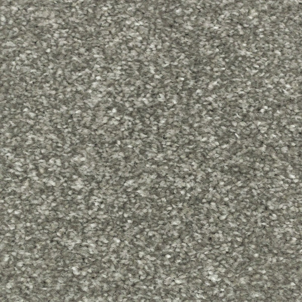 Shadow Stainfree Royale Carpet