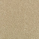 Country Beige Stainfree Royale Carpet