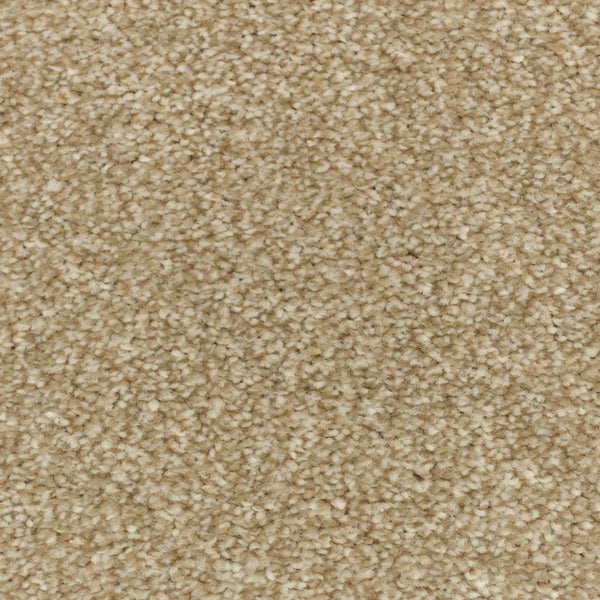 Country Beige Stainfree Royale Carpet