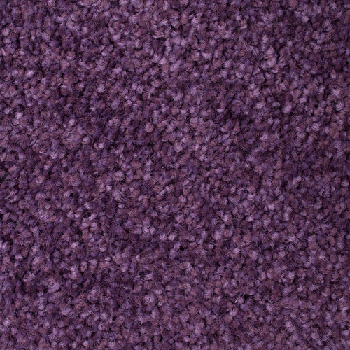 Purple 45 Kapa Carpet