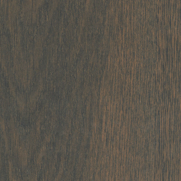 Kenia Oak 554