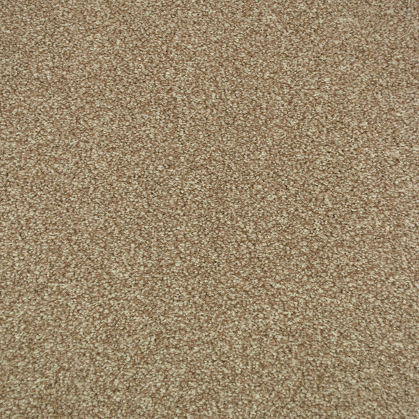 Cashmere Stainfree Majesty Carpet Buy Strain Free Majesty Carpet