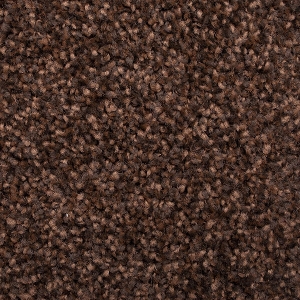 Bark Brown