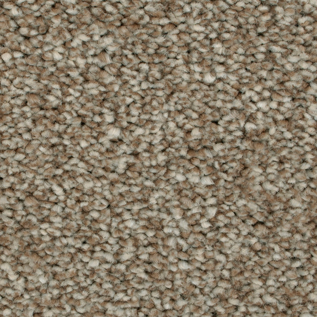 Acacia 34 Darius 50oz Heathers Invictus Carpet 4.1m x 5m Remnant