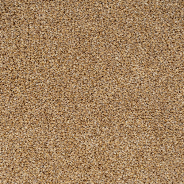 Almond 34 Stainaway Harvest Heathers Deluxe Carpet