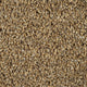 Almond 34 StainGuard Harvest Heathers Supreme Carpet