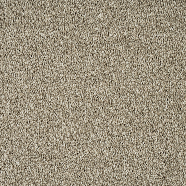Alpine Stone Sensation Heathers 60oz Carpet