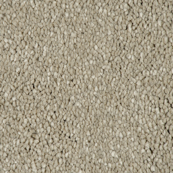 Ammonite Sensation Original 60oz Carpet by Cormar