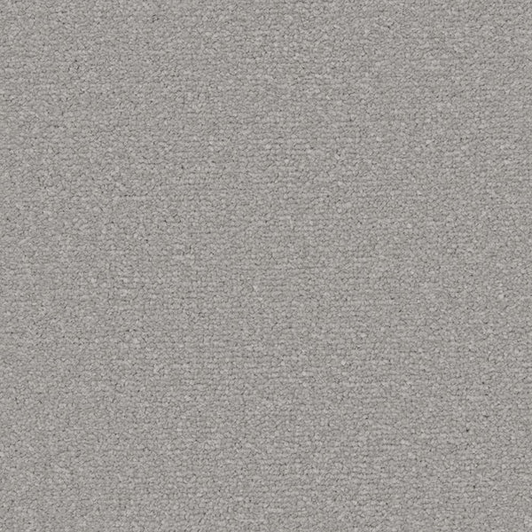 Apollo Plus Carpet | Buy Apollo Plus Carpets Online | Online Carpets