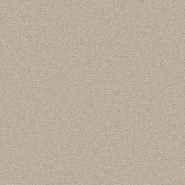 Pebblestone Apollo Plus Carpet | Buy Cormar Carpets | Online Carpets