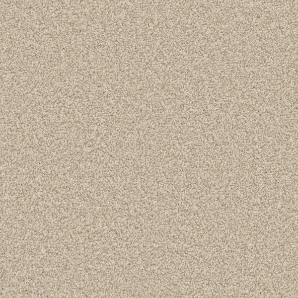 Apollo Plus Carpet | Buy Apollo Plus Carpets Online | Online Carpets