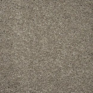 Stone Grey Beige Artemis Luxury Saxony Carpet