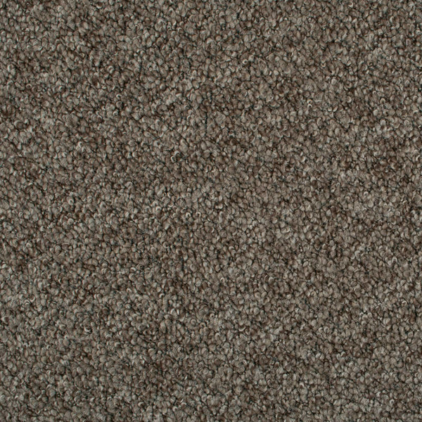Bark Brown Georgia Loop Feltback Carpet