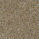 Bark 92 Oxford Saxony Carpet
