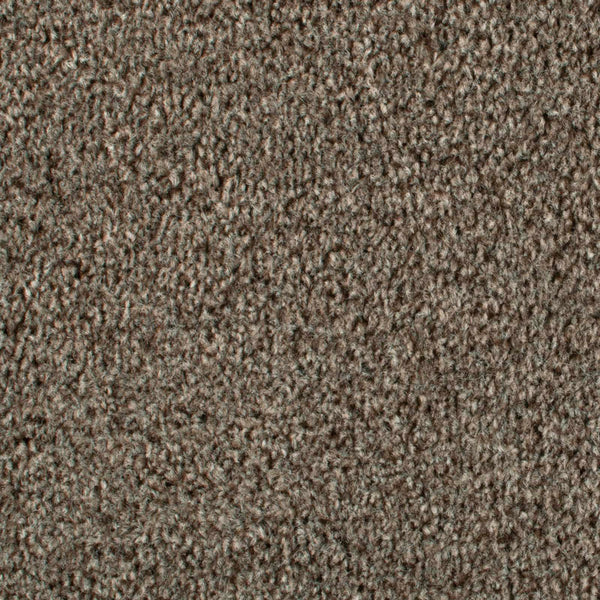 Beaver 965 Dublin Heathers Carpet