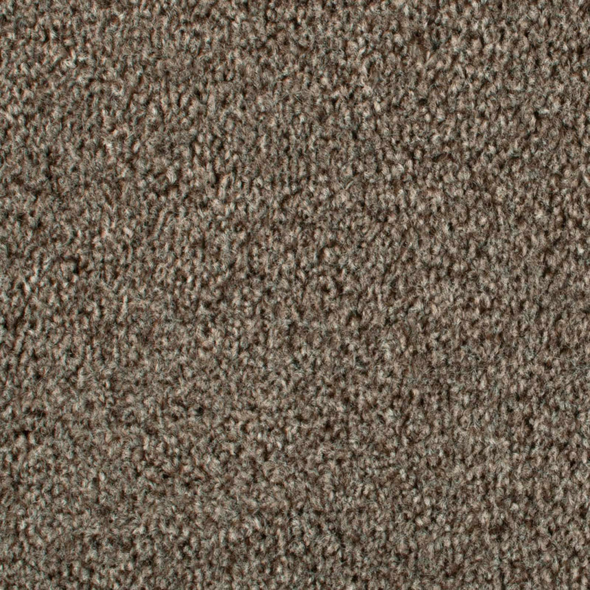 Beaver 965 Dublin Heathers Carpet Buy Dublin Heathers Twist Carpet