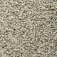Beige Nebula Saxony Carpet