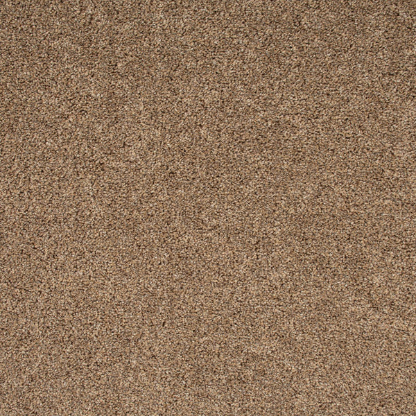 Blonde Oak 31 Stainaway Harvest Heathers Deluxe Carpet