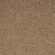 Blonde Oak 31 Stainaway Harvest Heathers Deluxe Carpet