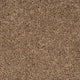 Blonde Oak 31 Stainaway Harvest Heathers Deluxe Carpet