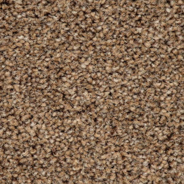 Blonde Oak 31 Stainaway Harvest Heathers Deluxe Carpet