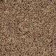 Blonde Oak 31 Stainaway Harvest Heathers Deluxe Carpet