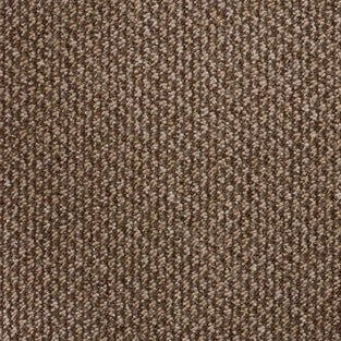 Brown Houston Loop Feltback Carpet