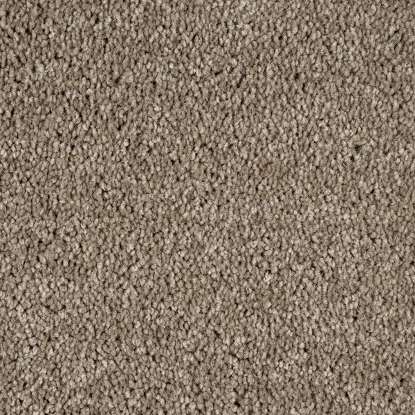 Camel 39 Bellaire Carpet Buy Bellaire Carpet Online Onlinecarpets