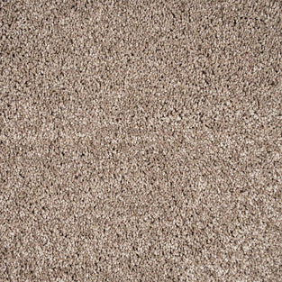 Caramel Brown 40 Centaurus Invictus Carpet