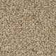 Cocoon Beige 91 StainAway Harvest Heathers Deluxe Carpet