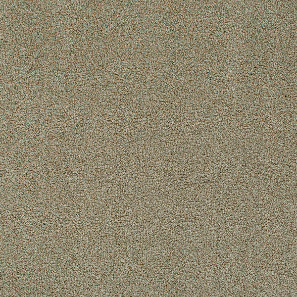 Oxford Saxony Carpet