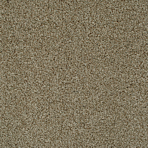 Cognac 90 Oxford Saxony Carpet 4.9m x 5m Remnant