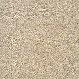 Coral White Sensation Heathers 60oz Carpet