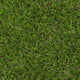 Cordova 37mm Artificial Grass