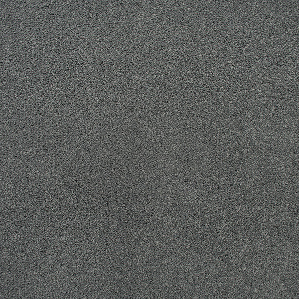 Dove Grey 155 Imagination Twist Carpet