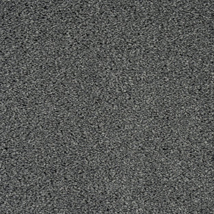 Dove Grey 155 Imagination Twist Carpet