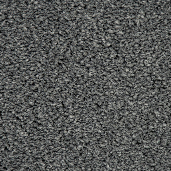 Dove Grey 155 Imagination Twist Carpet